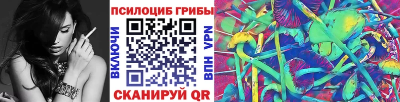Галлюциногенные грибы Psilocybe  закладка  Пушкино 